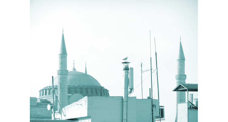 03-Istanbul-Roofs.jpg